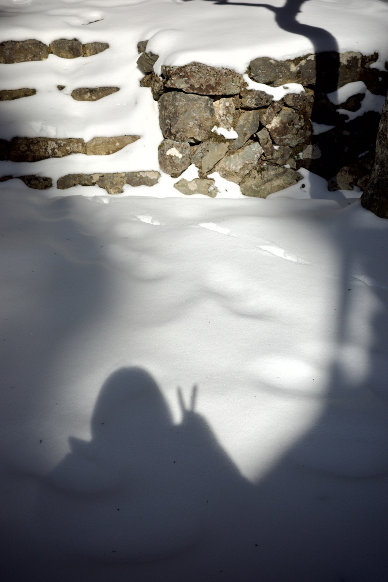 【和歌山】ずっと見たかった景色〝雪の高野山〟へ